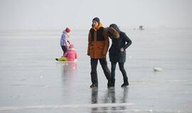Stintapūkio šventė: nuo austrių iki traškančio ledo