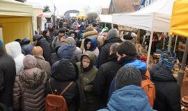 Stintapūkio šventė: nuo austrių iki traškančio ledo