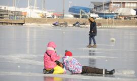 Stintapūkio šventė: nuo austrių iki traškančio ledo