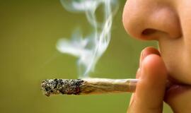 Parkelyje nepilnametis sumanė „papešti" žolės