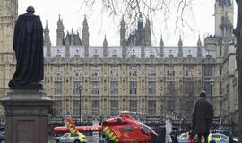 Londone prie parlamento aidėjo šūviai