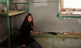 Menininkai jaukinosi komisariatą