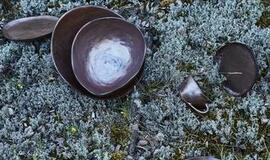 "Julia Janus" - progresyvus stilius be dydžio ribų