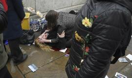 Londone prie parlamento aidėjo šūviai