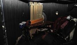 Ekskursija po nepažintą Muzikinį teatrą