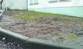 Vejos dėl automobilių neaukos