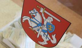Iki 17 val. balsuoti rikimuose atvyko 20,56 proc. rinkėjų