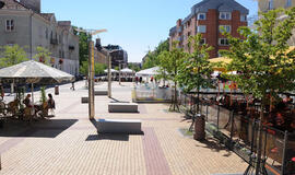 Ramūnas Karbauskis apie alkoholio draudimą lauko kavinėse: tai nėra perteklinis siūlymas