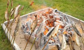 Šventė Nidoje „Žiobrinės 2017"