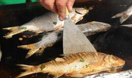 Šventė Nidoje „Žiobrinės 2017"