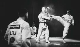 "Shodan" karatė mokykla pagerbė geriausius praėjusių metų sportininkus