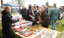 Šventė Nidoje „Žiobrinės 2017"