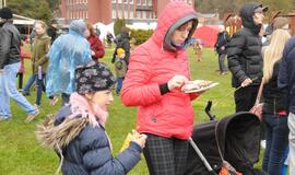 Šventė Nidoje „Žiobrinės 2017"