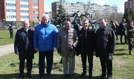 Uostamiestis pasipuošė sakuromis