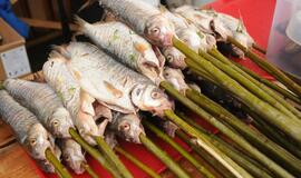 Šventė Nidoje „Žiobrinės 2017"