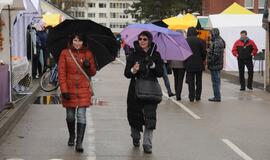 Šventė Nidoje „Žiobrinės 2017"