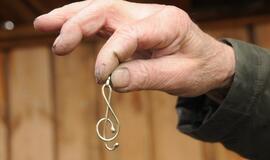 Šventė Nidoje „Žiobrinės 2017"