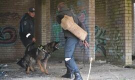 Keturkojai Klaipėdos „pareigūnai“: ir meilumo įsikūnijimas, ir gelbėtojai, ir dantyti žvėrys