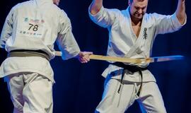 "Shodan" karatė mokykla pagerbė geriausius praėjusių metų sportininkus