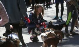 Bėgimu paminėta Šuns diena