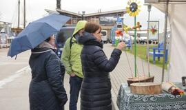 Šventė Nidoje „Žiobrinės 2017"