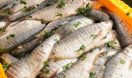 Šventė Nidoje „Žiobrinės 2017"