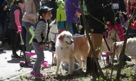 Bėgimu paminėta Šuns diena