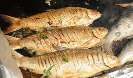 Šventė Nidoje „Žiobrinės 2017"