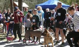 Bėgimu paminėta Šuns diena