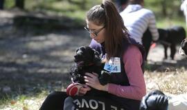 Bėgimu paminėta Šuns diena