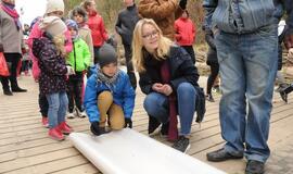 Margučių ridenimo čempionatas Palangoje