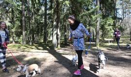 Bėgimu paminėta Šuns diena