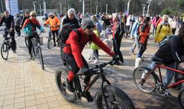 Pėsčiųjų žygis pajūriu „Gintaro kelias. Palanga – Šventoji“