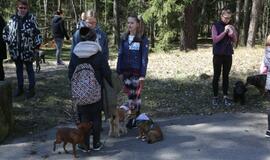 Bėgimu paminėta Šuns diena