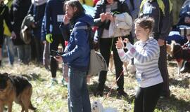 Bėgimu paminėta Šuns diena