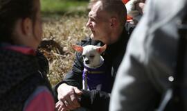 Bėgimu paminėta Šuns diena