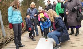 Margučių ridenimo čempionatas Palangoje