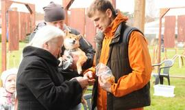 Šventė Nidoje „Žiobrinės 2017"