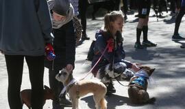 Bėgimu paminėta Šuns diena