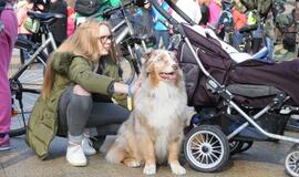 Pėsčiųjų žygis pajūriu „Gintaro kelias. Palanga – Šventoji“