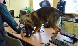 Kvaišalų baubą iš mokyklų gena šunys