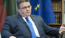 Linas Linkevičius kvietė užmegzti ir palaikyti aktyvius ryšius su Rusijos pilietine visuomene