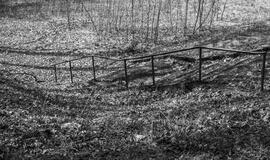 Meno skyriuje - Jevenijos Škaliovos fotografijos paroda