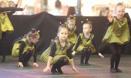 „Augantys talentai 2017“