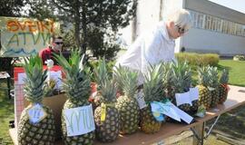 „Vilties bėgimui“ - auganti pamaina