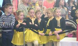 „Augantys talentai 2017“