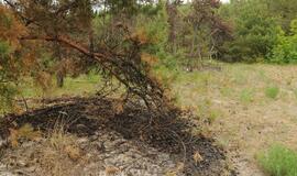 Gaisras prie jūros Melnragėje