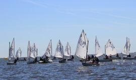 Mariose kovojo dėl Klaipėdos uosto taurės