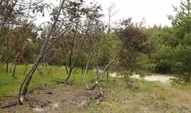 Gaisras prie jūros Melnragėje