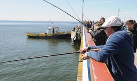 Palangoje - Gintarinės grundalinės